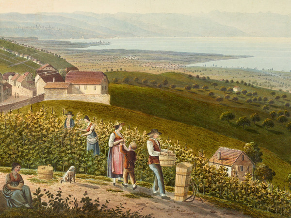 Demi-panorama du Léman vers l’est; au premier plan, vignerons et groupe de touristes.